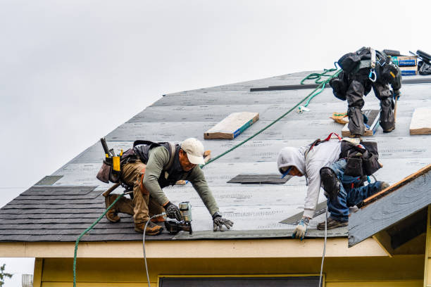 Professional Roofing technician working in Newport, WA